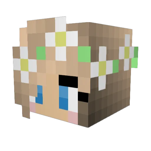 lilbrooks12 Minecraft avatar head, 3D render