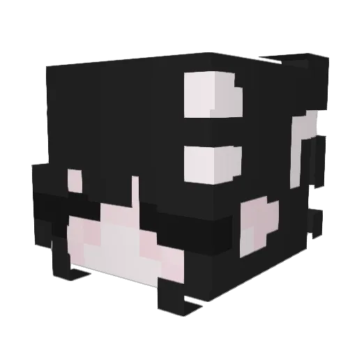 lilbunii Minecraft avatar head, 3D render
