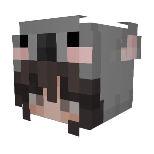 lilcheezy_ Minecraft avatar head, 3D render