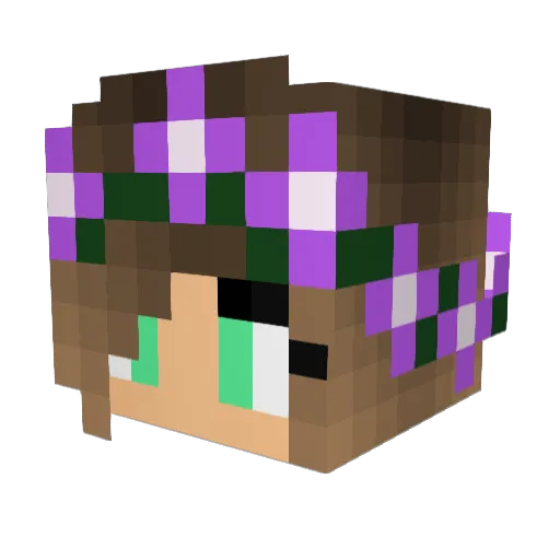 lilcoconut02 Minecraft avatar head, 3D render