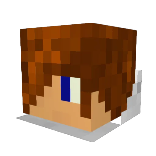 lild95 Minecraft avatar head, 3D render