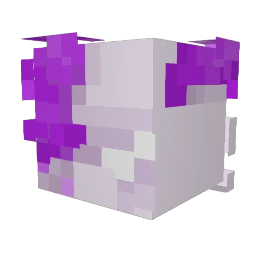 lildonkis Minecraft avatar head, 3D render