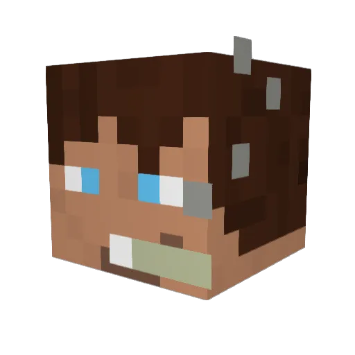 lildrumrboy99 Minecraft avatar head, 3D render