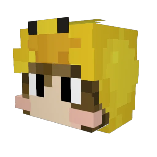 lilducky1517 Minecraft avatar head, 3D render