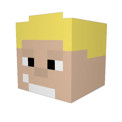 lilfawks Minecraft avatar head, 3D render