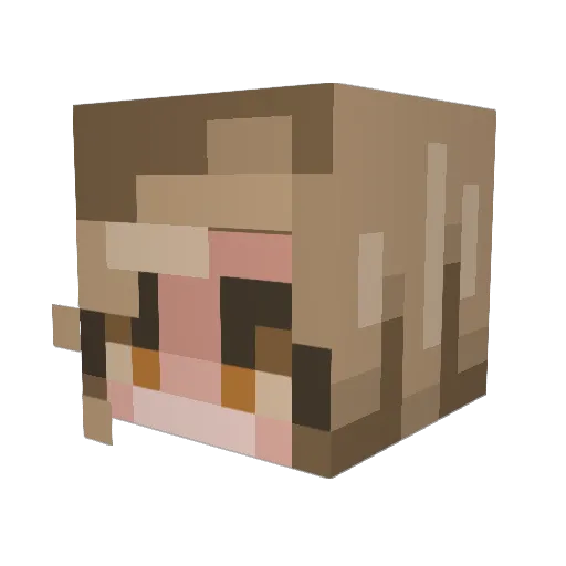lilfry4 Minecraft avatar head, 3D render