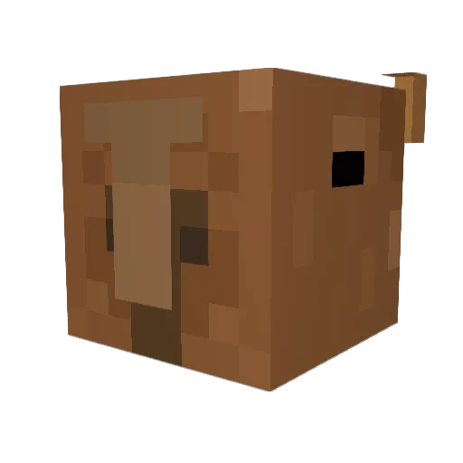 lilgeyboy Minecraft avatar head, 3D render