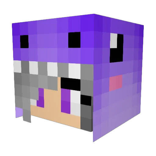 lilgrapee Minecraft avatar head, 3D render