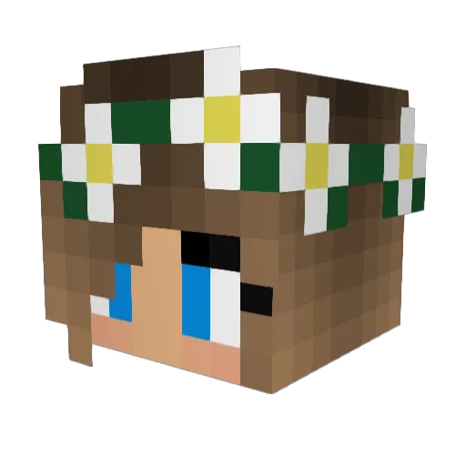 lili0802 Minecraft avatar head, 3D render