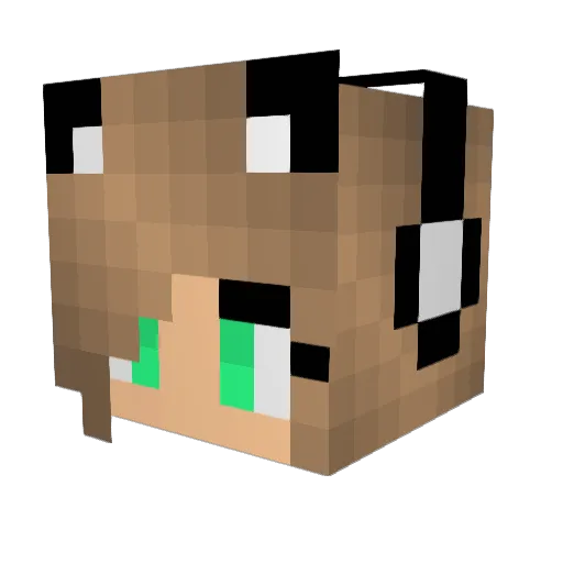 lili3 Minecraft avatar head, 3D render