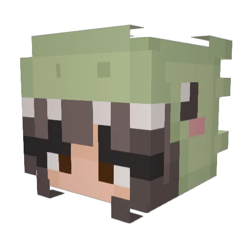lilibug101 Minecraft avatar head, 3D render