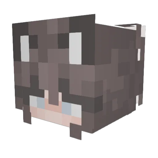 lilienama3 Minecraft avatar head, 3D render