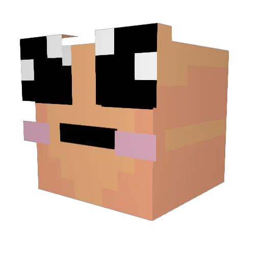 lilipoupi Minecraft avatar head, 3D render