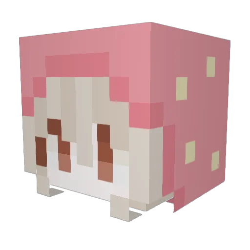 lilirnna Minecraft avatar head, 3D render