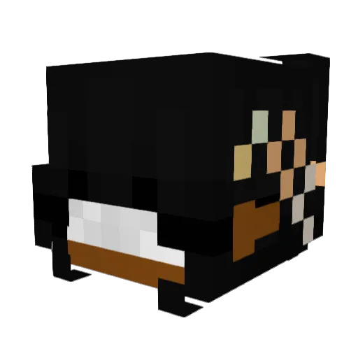 lilithxx_ Minecraft avatar head, 3D render
