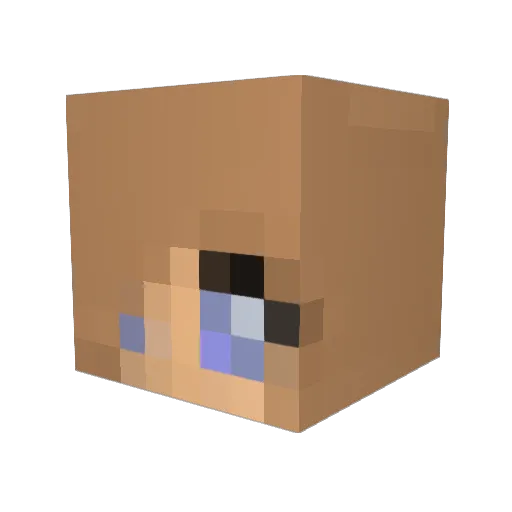lilix04 Minecraft avatar head, 3D render