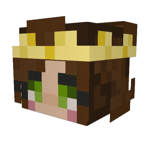 liljerry60 Minecraft avatar head, 3D render
