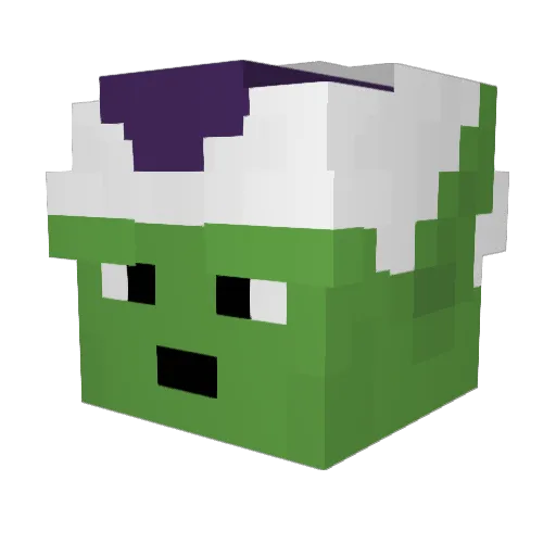 lilkerloos23 Minecraft avatar head, 3D render