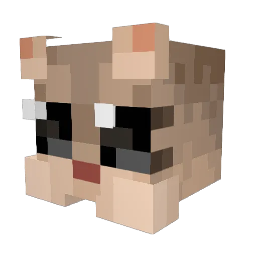 lilkorai Minecraft avatar head, 3D render