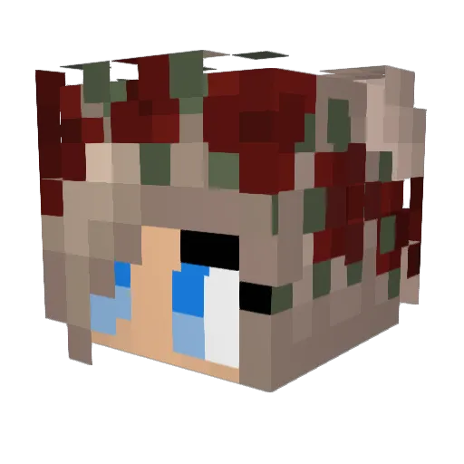 lilladybug4 Minecraft avatar head, 3D render