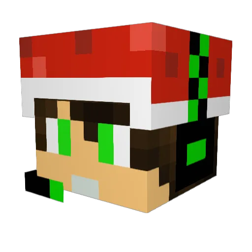 lillan1337 Minecraft avatar head, 3D render