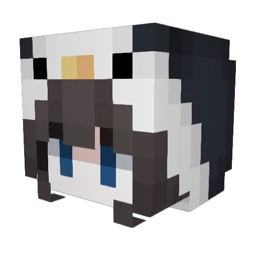 lillballsz Minecraft avatar head, 3D render