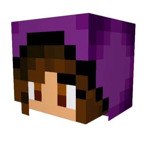 lilleeboo Minecraft avatar head, 3D render