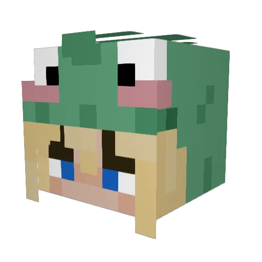 lillemeis Minecraft avatar head, 3D render