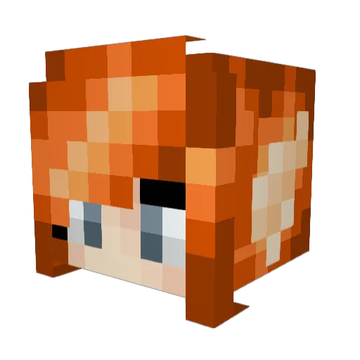 lillie_put Minecraft avatar head, 3D render