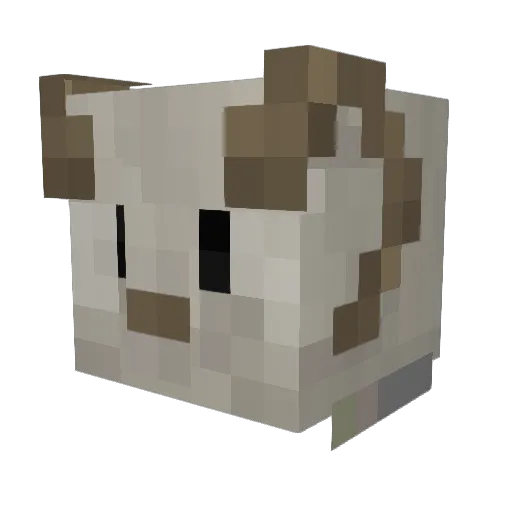 lillojo Minecraft avatar head, 3D render