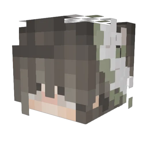 lills12 Minecraft avatar head, 3D render