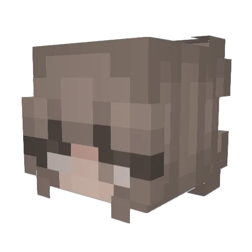 lillthewise Minecraft avatar head, 3D render