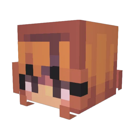 lilly120802 Minecraft avatar head, 3D render