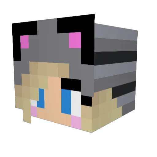 lillybirdsong Minecraft avatar head, 3D render