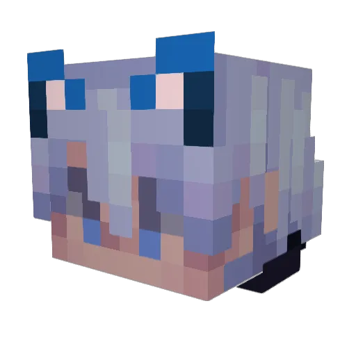 lillyflower246 Minecraft avatar head, 3D render