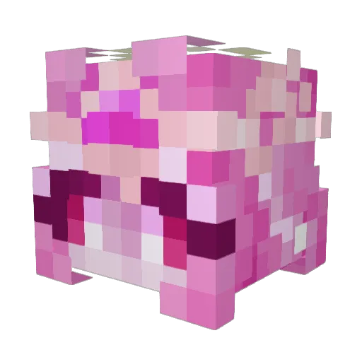 lillyiscute Minecraft avatar head, 3D render