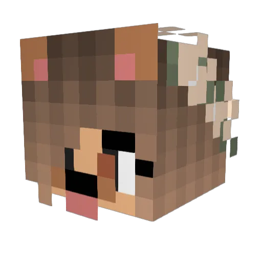 lillymaus2006 Minecraft avatar head, 3D render