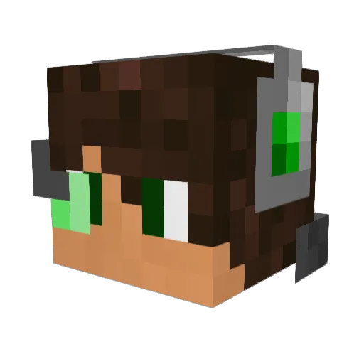 lillypad02 Minecraft avatar head, 3D render