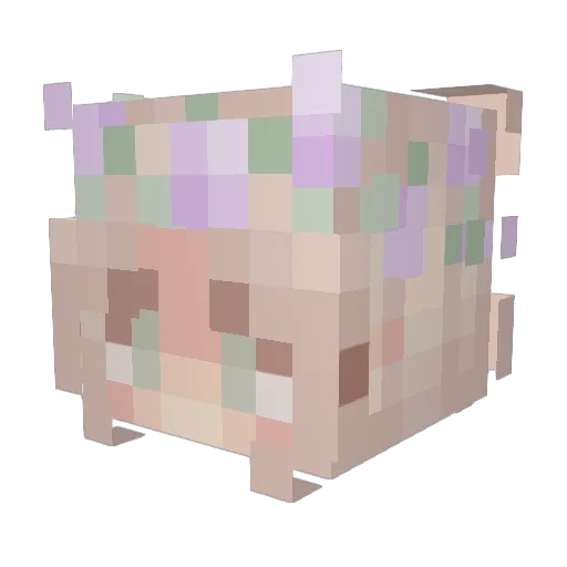 lilmae01 Minecraft avatar head, 3D render