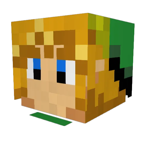 lilman507 Minecraft avatar head, 3D render