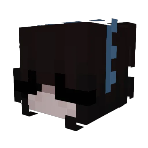 lilmeows Minecraft avatar head, 3D render