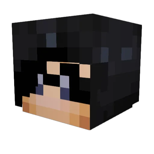lilmich09 Minecraft avatar head, 3D render