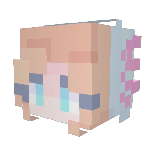 lilmisgarry Minecraft avatar head, 3D render