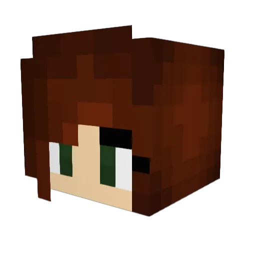 lilmissbumblebee Minecraft avatar head, 3D render