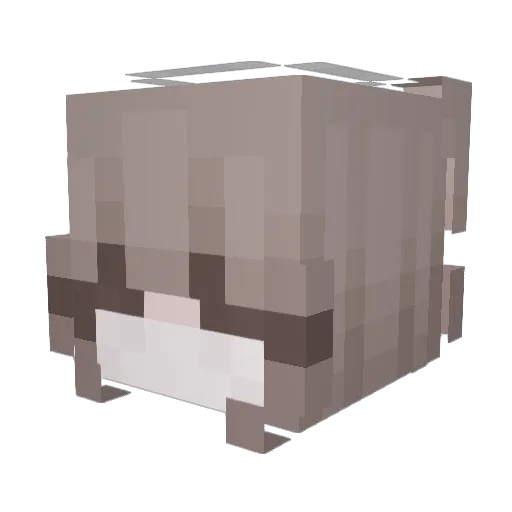 lilmissright Minecraft avatar head, 3D render