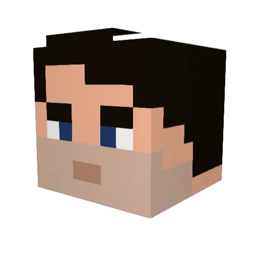 lilmisstrouble55 Minecraft avatar head, 3D render