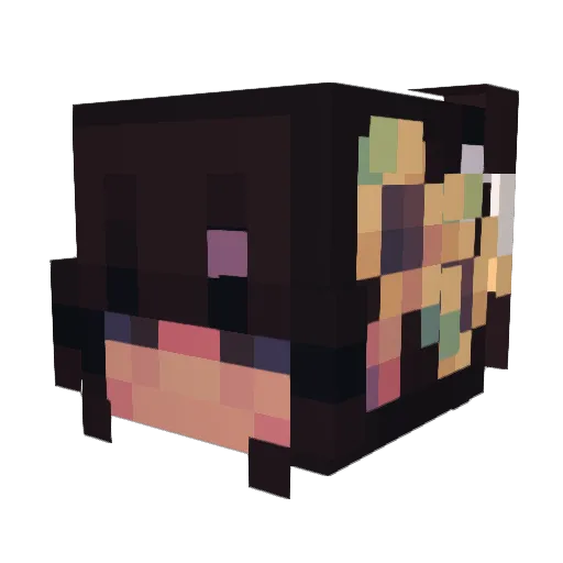 lilnilaxx Minecraft avatar head, 3D render