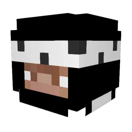 lilninja9581265 Minecraft avatar head, 3D render