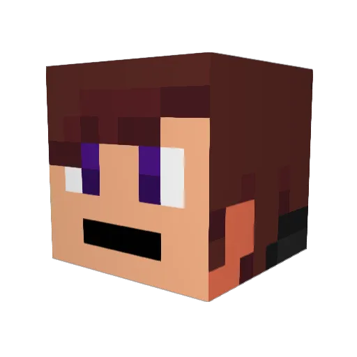 lilninjas Minecraft avatar head, 3D render
