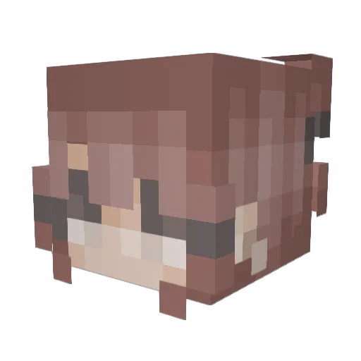 lilnuggie420 Minecraft avatar head, 3D render
